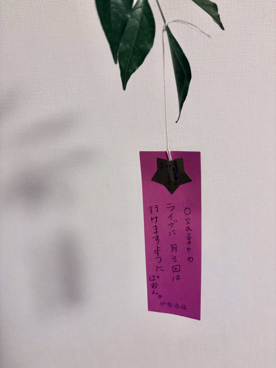 a33TewwhoozoF3f's tweet photo. 七夕🎋
去年と同じ願い事を…𖤐𖤐𖤐𖤐
「osageのライブに月に3回は
行けますように。」 ぱおん。
#osage
#七夕 https://t.co/VDKhKRQj6j