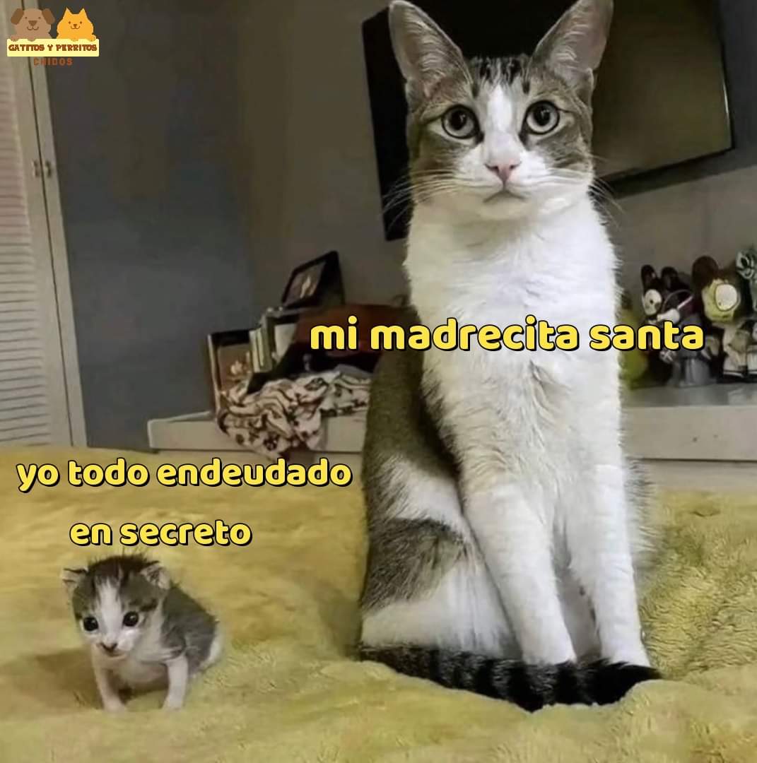 Mantequilla90's tweet photo. https://t.co/bg7jCwIf1X