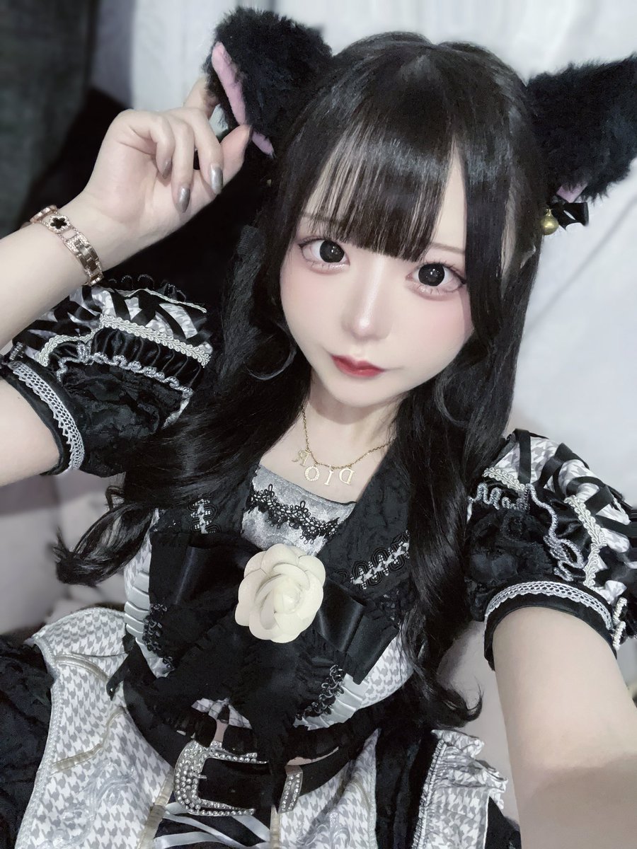 301_pn's tweet photo. 🐈‍⬛🎀 https://t.co/VxOLsr3eAy