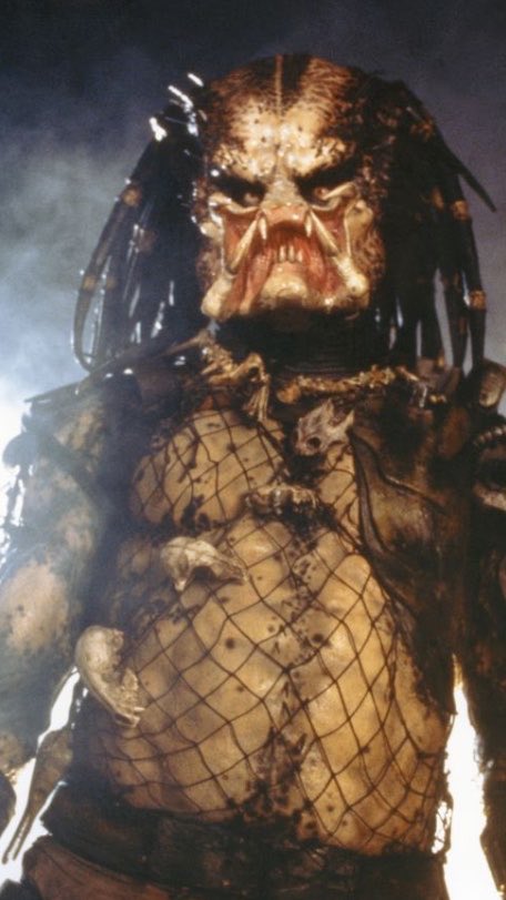 ptgdmj2's tweet photo. @InternetH0F It's a predator https://t.co/NOCRnZLlfk