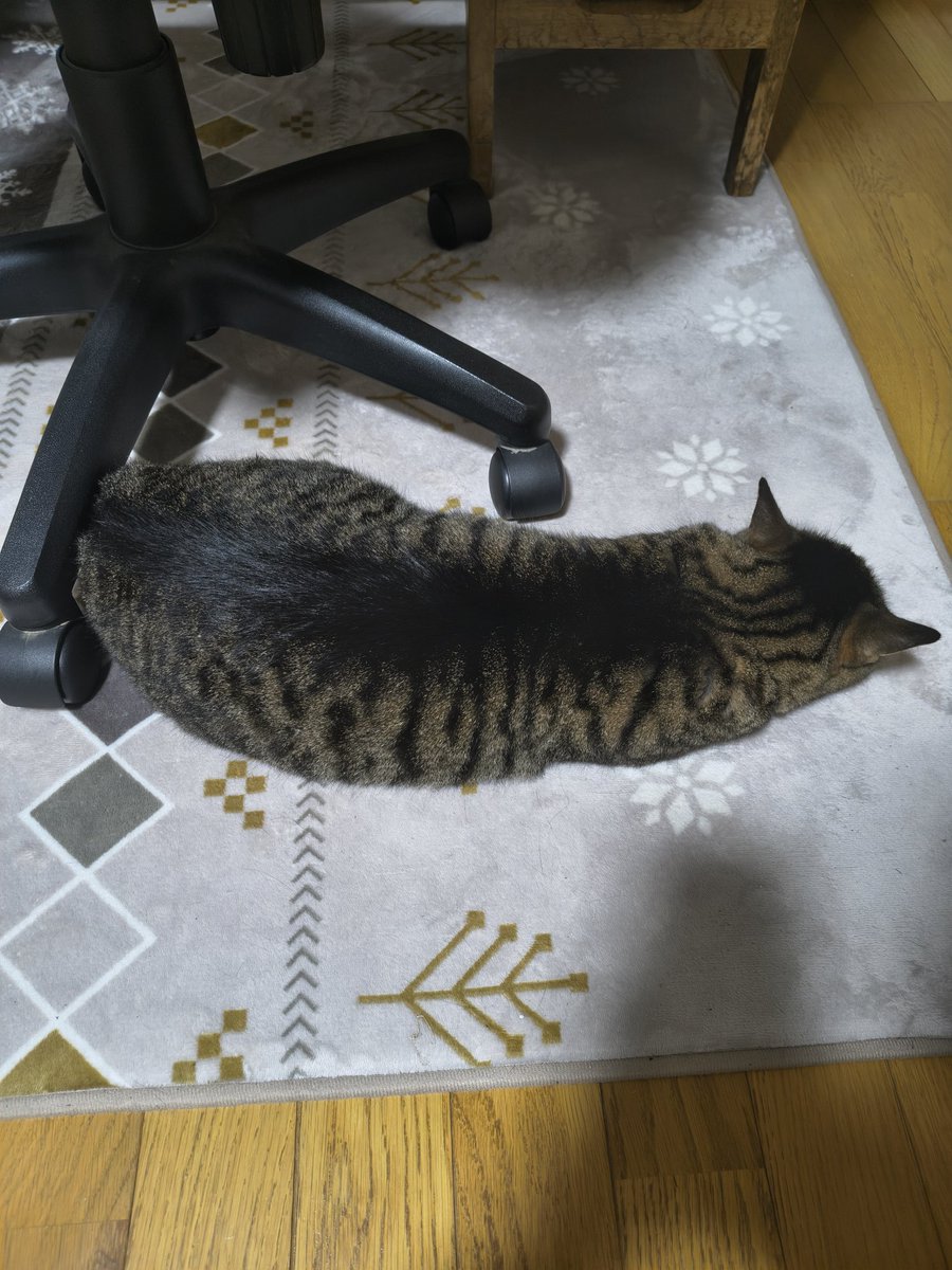 marumaruhebikun's tweet photo. なまこ https://t.co/eo1q0zz7ku