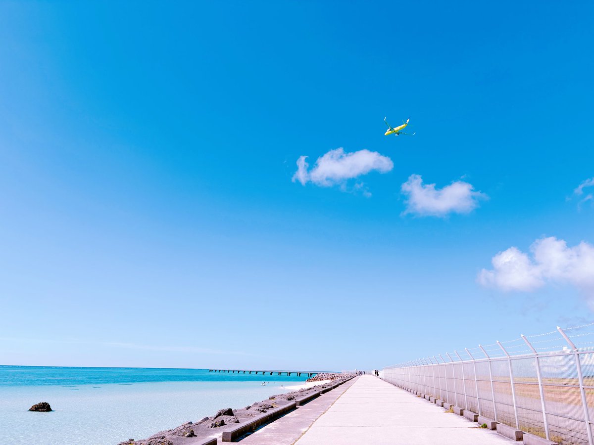 ChikoChel's tweet photo. ちょっと早めの夏休み🌻
滞在中ずっと快晴だった2度目ましての宮古島🏝️♡♡
シュノーケルはもちろん、パラセーリングがすごく楽しくて高所恐怖症なのにアトラクション感覚で良かったーーーまた乗りたい😂✌🏻 https://t.co/prmNTsaQsF