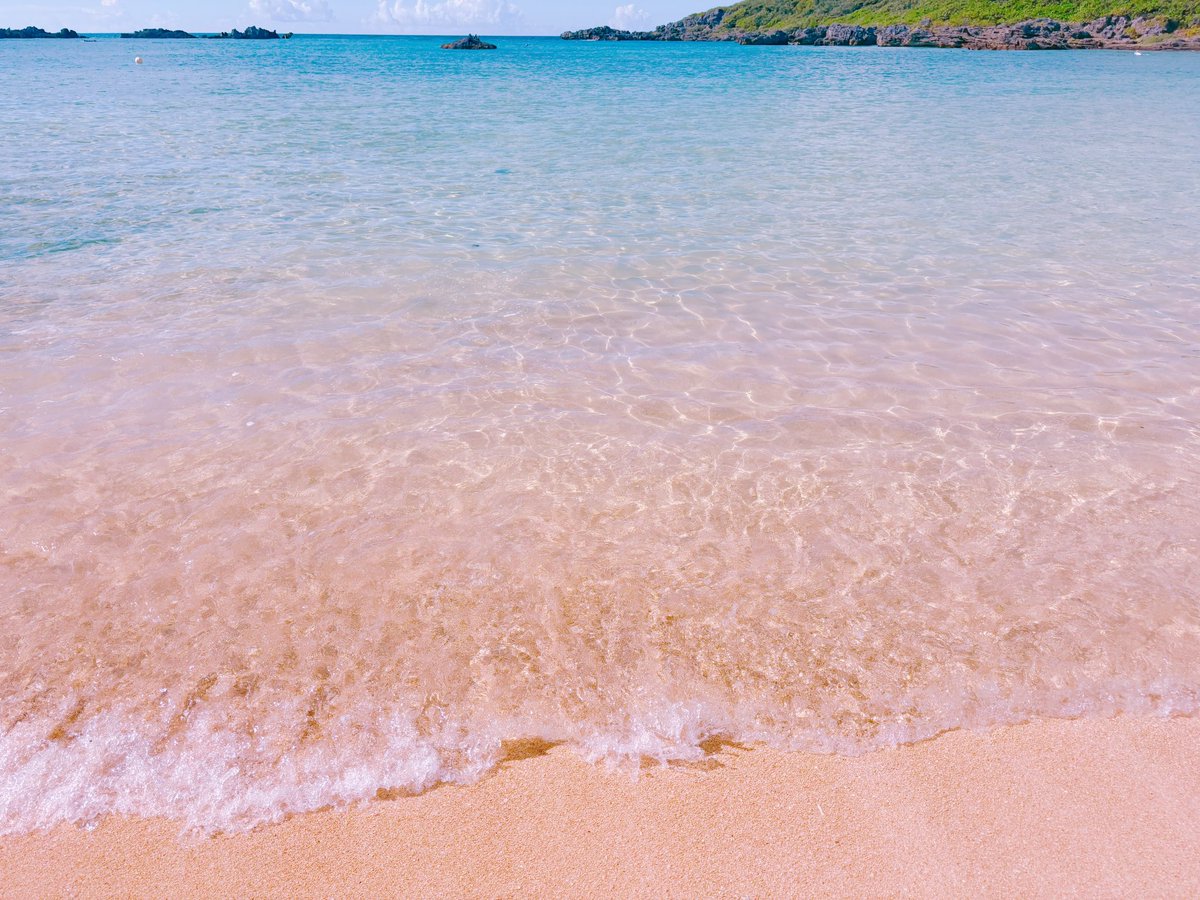 ChikoChel's tweet photo. ちょっと早めの夏休み🌻
滞在中ずっと快晴だった2度目ましての宮古島🏝️♡♡
シュノーケルはもちろん、パラセーリングがすごく楽しくて高所恐怖症なのにアトラクション感覚で良かったーーーまた乗りたい😂✌🏻 https://t.co/prmNTsaQsF