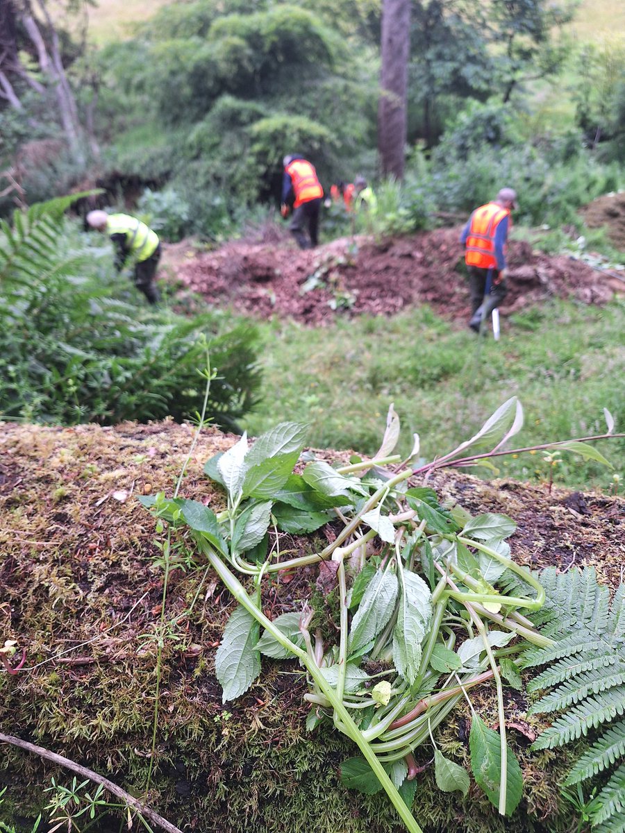 Water of Leith Conservation Trust tweet media