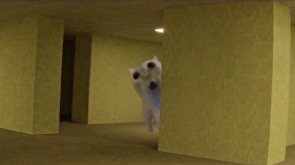 JsstMaRo's tweet photo. @_logjam @Justchill0v0 @0xBiZzy Any 🐈? https://t.co/v5xYyYBr8D