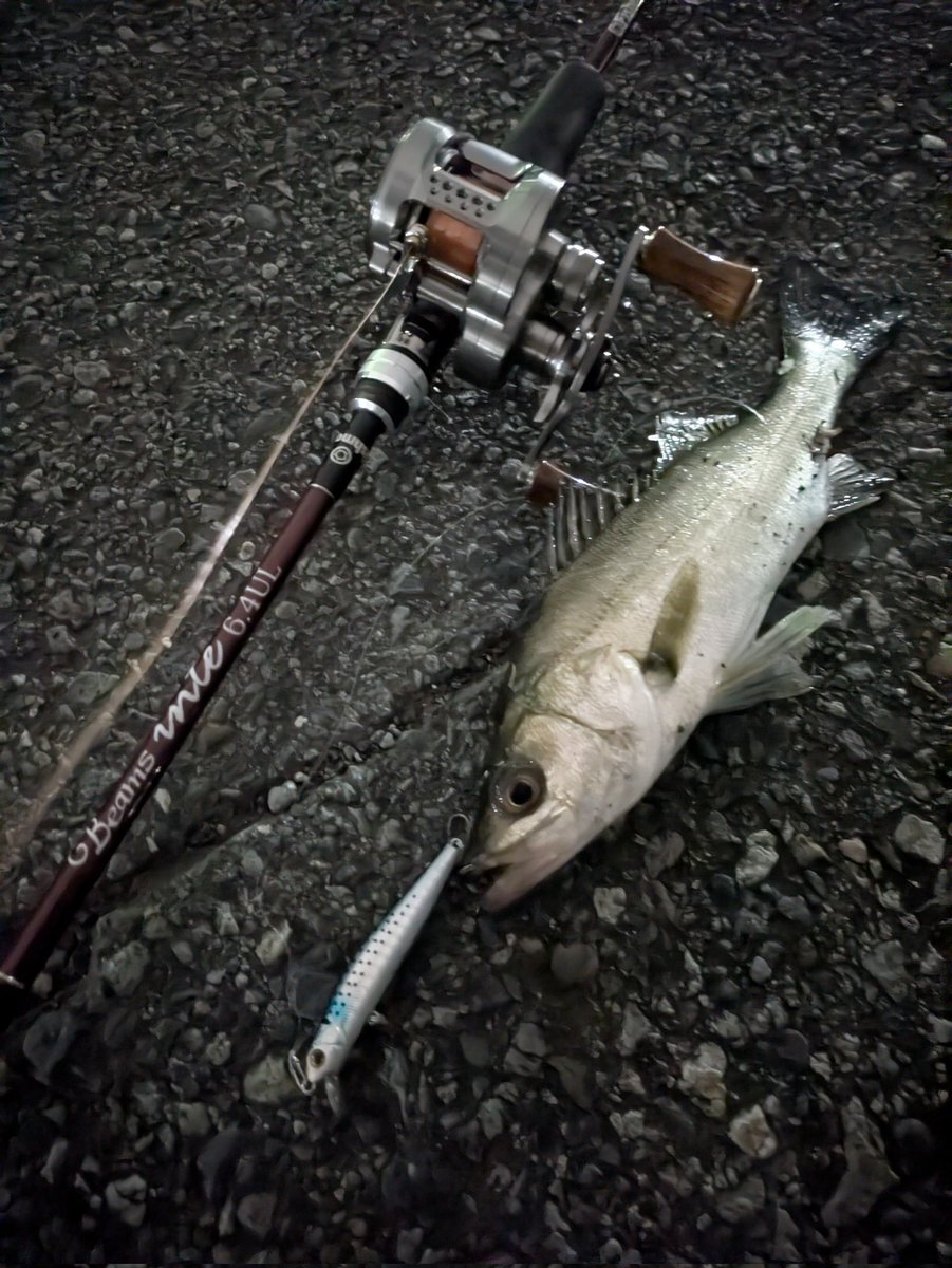 pezpez1091's tweet photo. ザブラシステムミノー7Fでマルった🎣
#fishman
#ビームスインテ64ul
#zipbaits
#ザブラシステムミノー7f
#マルスズキ https://t.co/auMNAUIGEh