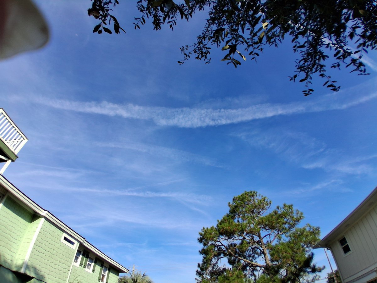wakeytfup's tweet photo. @Undergotten @nogps1 
Caught these this morning 🙄
Tybee Island https://t.co/iKYYEav5YS