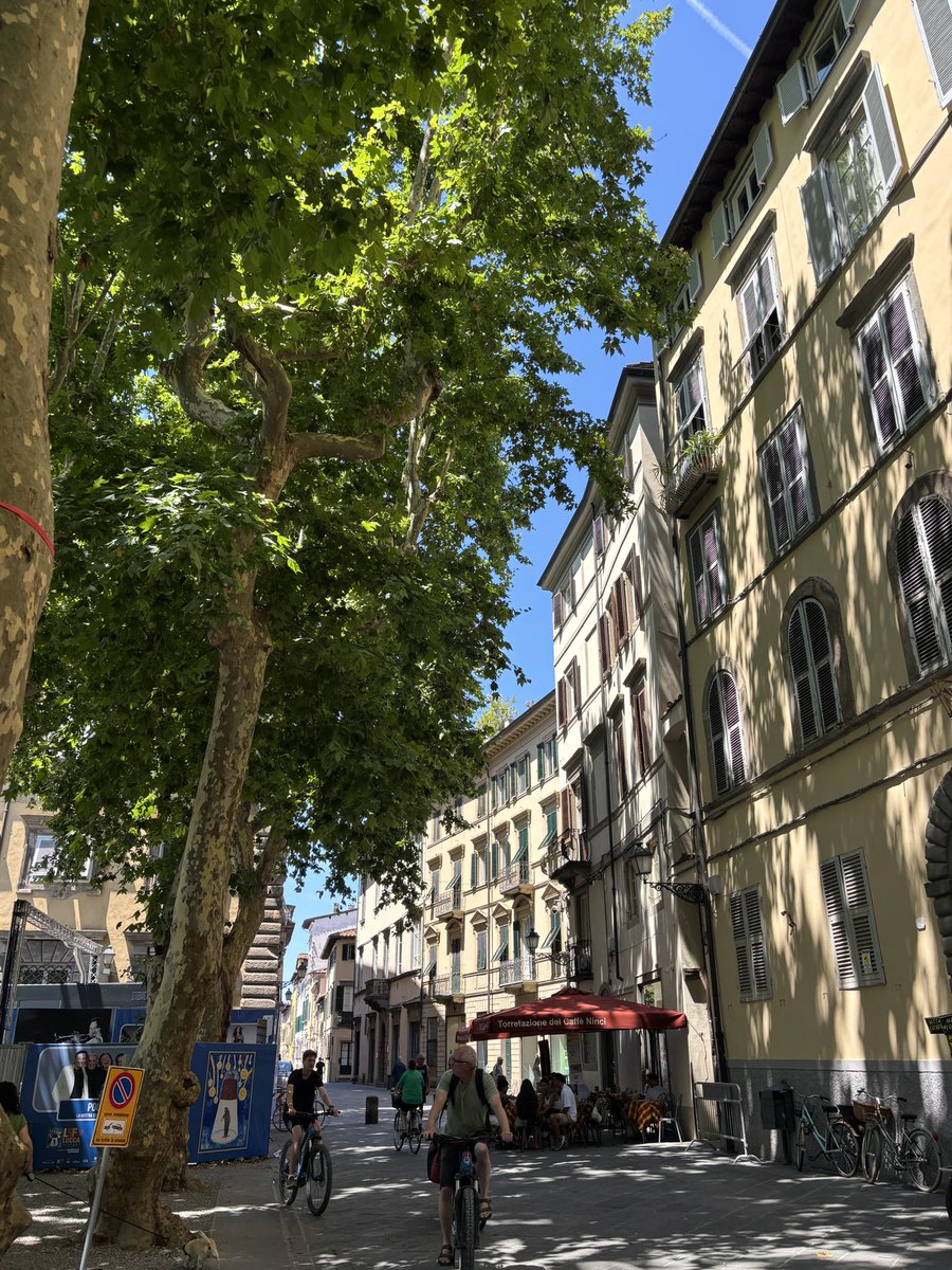 🇮🇹フィレンツェ発現地ツアーeasyfirenze (@easyfirenze) / Posts / X