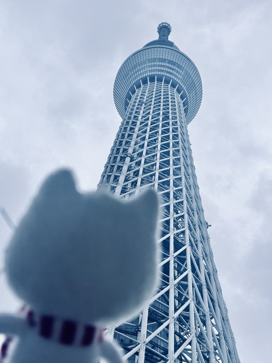 haruto_66's tweet photo. ニコルとプラネタリウム満喫してきました
前に人がいないという点でプレミアムシートはよい
映像を満喫するため別席でもう一回行かねば https://t.co/9oFqRX8vBf