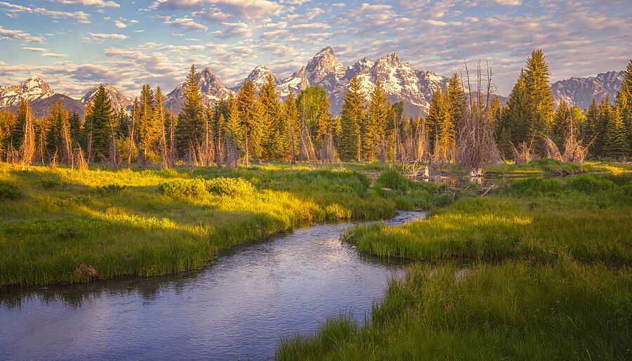 joancarroll's tweet photo. Early Morning Schwabacher's Landing Grand Teton NP Wyoming 2! https://t.co/C0oLZn6pLF #grandteton #nationalpark #schwabachers #schwabacherslanding #reflections #mountains #pond #lake #trees #clouds #spruce #cottonwood #river #wyoming #nature #snow #landscape #landscapephotography #serene #artforsale #wallartforsale #giftideas @joancarroll