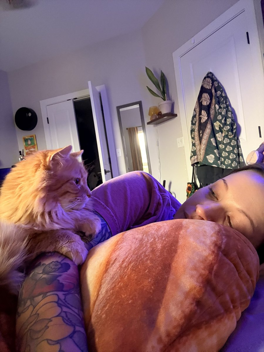 FoxieKT's tweet photo. My morning wake up call https://t.co/z03U7dFqpN
