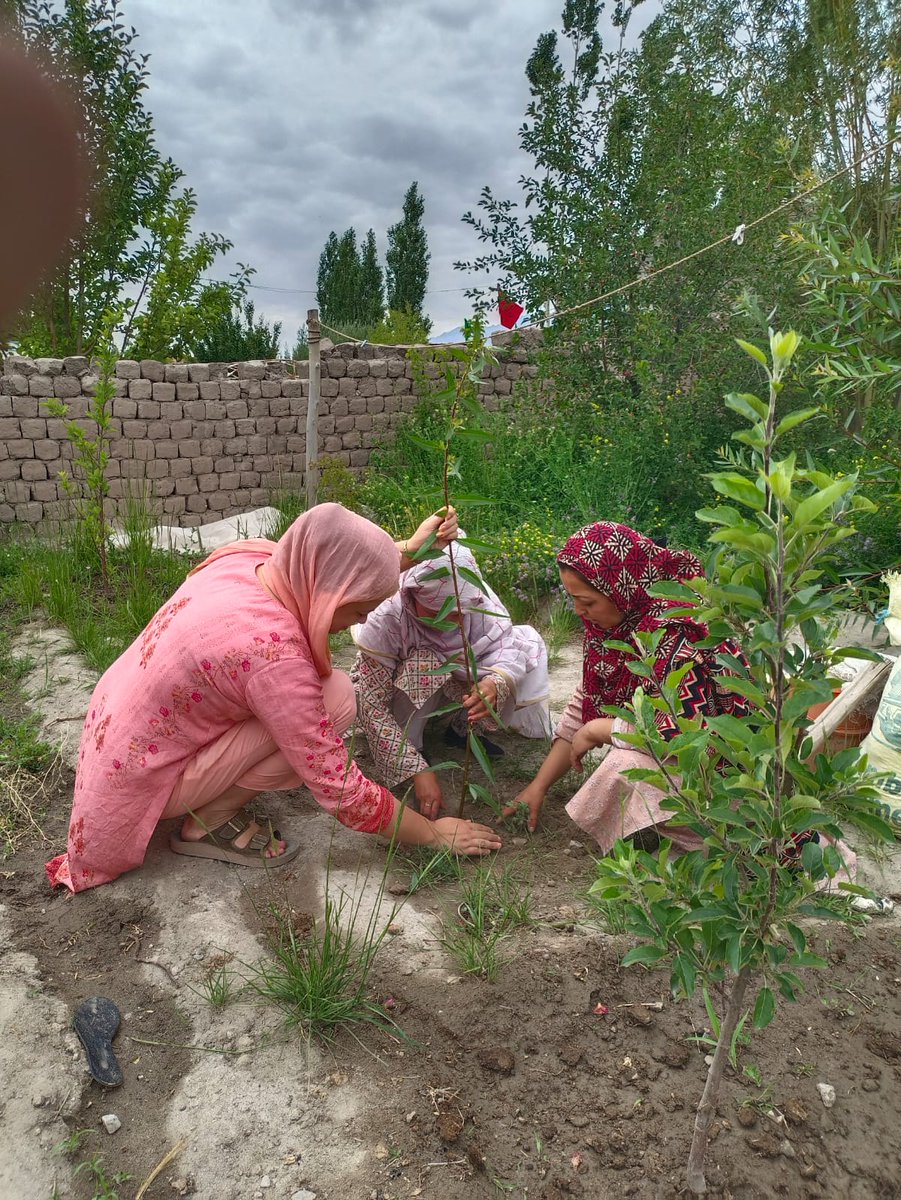 DRC_Leh's tweet photo. 🌱 FPO Tyakshi, Turtuk organized a plantation drive in the border village of Turtuk, promoting environmental conservation and a greener Ladakh. Every sapling planted is an investment in a sustainable future. #GreenLadakh #PlantationDrive #Turtuk 
@lg_ladakh 
@ddnewsladakh https://t.co/uPQpHHj674