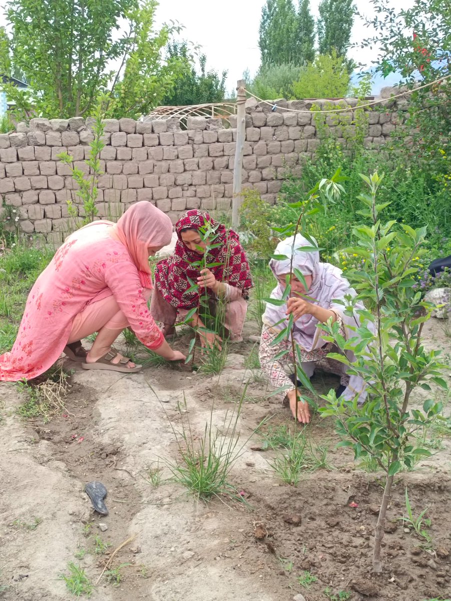 DRC_Leh's tweet photo. 🌱 FPO Tyakshi, Turtuk organized a plantation drive in the border village of Turtuk, promoting environmental conservation and a greener Ladakh. Every sapling planted is an investment in a sustainable future. #GreenLadakh #PlantationDrive #Turtuk 
@lg_ladakh 
@ddnewsladakh https://t.co/uPQpHHj674