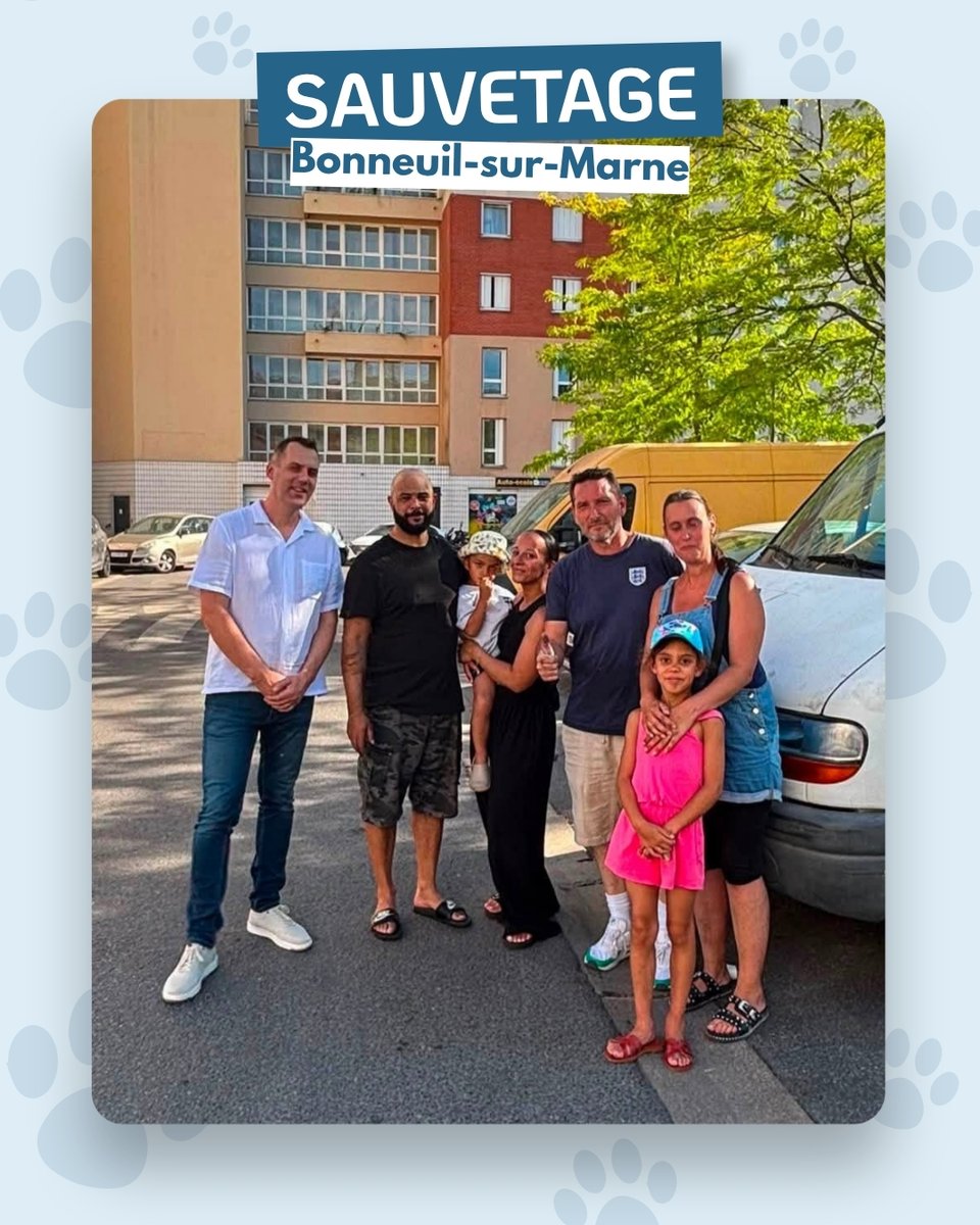 StephaneLAMART's tweet photo. 🐱🚒 SAUVETAGE À BONNEUIL-SUR-MARNE

Coincé sous le capot d'une voiture pendant plusieurs heures, ce jeune chaton a finalement pu être secouru grâce à l'intervention des @PompiersParis.

Angelo est désormais pris en charge par notre association et va recevoir tous les soins nécessaires. 💙

Merci aux pompiers, aux habitants et à tous ceux qui se sont mobilisés pour ce sauvetage. 🐾

#Sauvetage #Chaton #ProtectionAnimale #PompiersDeParis