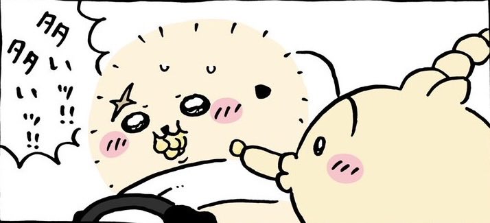 Chiiibouya's tweet photo. 加減を知らない鬼才🐰 https://t.co/MSe7ME7MlT