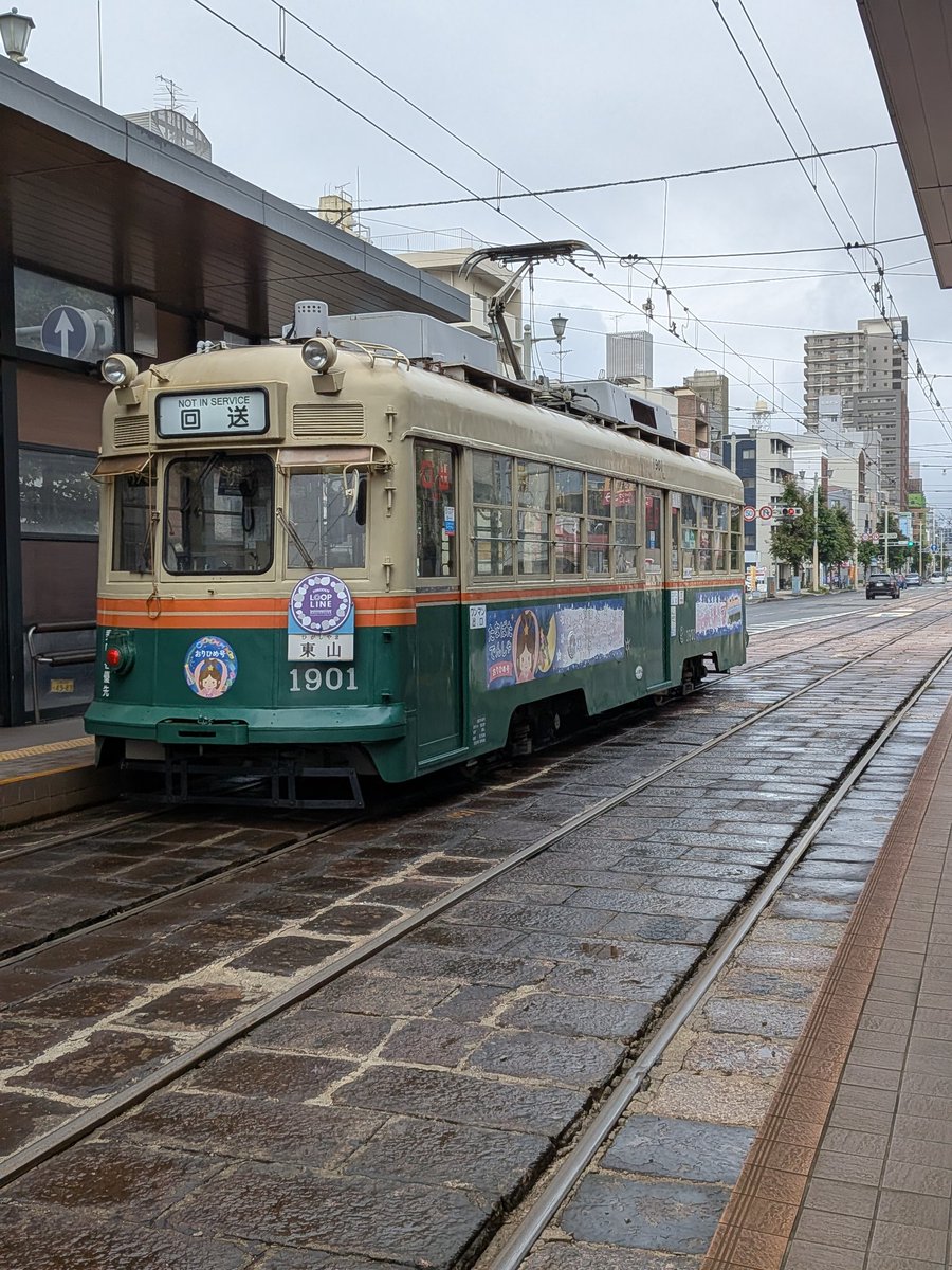 撮れた事自体はとても幸運 だが現実は不運……