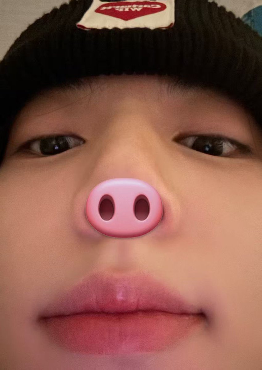 m320_yj's tweet photo. 🐽🐽🐽 https://t.co/zAUTM0hWuc