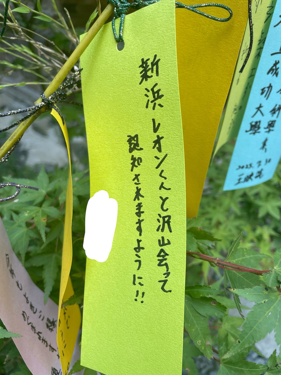 AxdGa2e's tweet photo. 私去年は京都に旅行行って願い事書いてきたんだけど多分叶ったよね🙂‍↕️🙂‍↕️🙂‍↕️ https://t.co/8BLnrjQzZ1