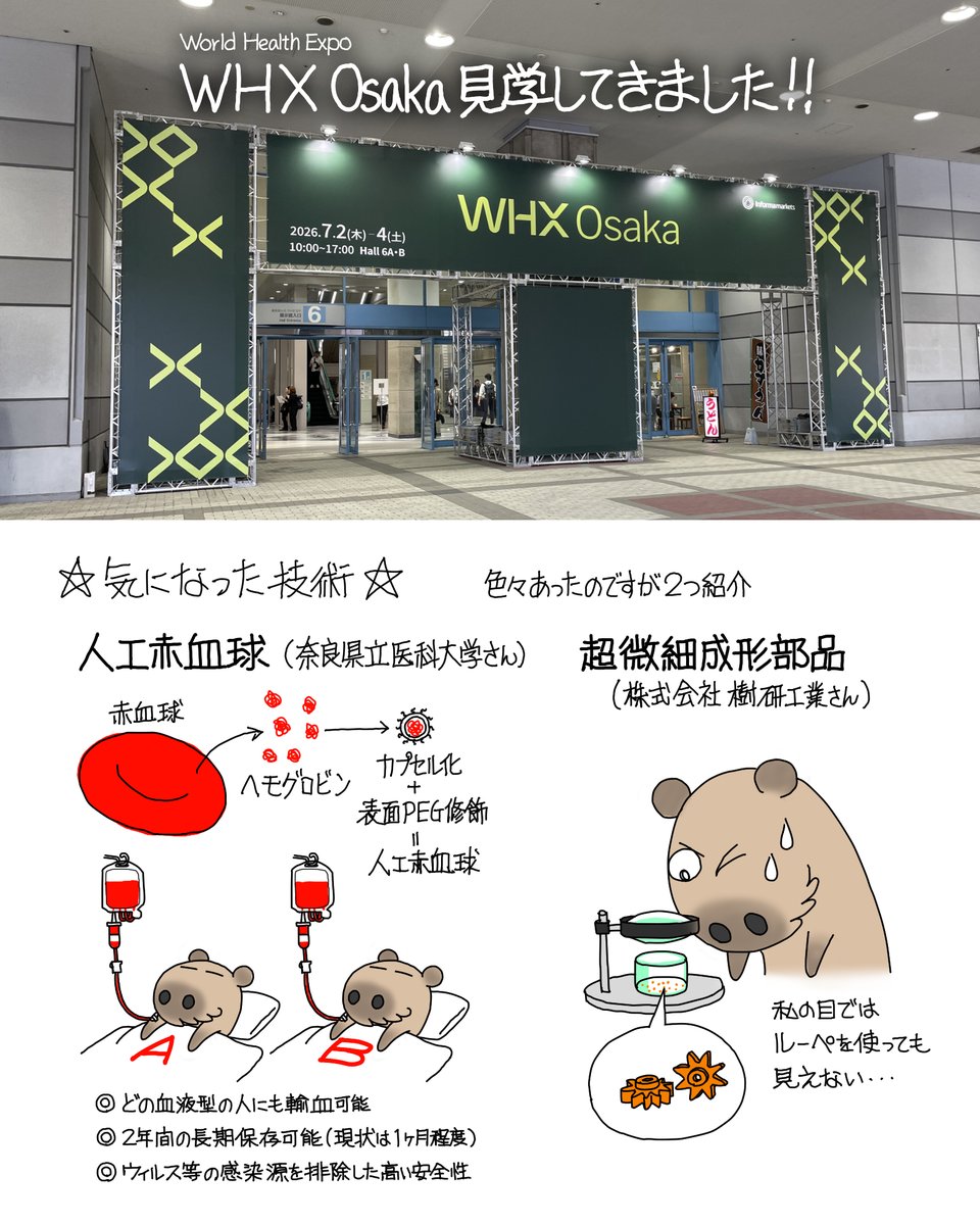 nboshi_leo's tweet photo. 先週、インテックス大阪で開催されていた技術展示会、「WHX Osaka」を見学してきました。WHXはWorld Health Expoの略で、健康に関する展示会です。２ホールだけでしたが興味深い展示が多数あり、色々とお話を聞くことができました。

気になった技術は色々ありましたが、その中から２点ピックアップ。

1点目は奈良県立医科大学さんの「人工赤血球」。名前は聞いたことがありましたが、詳細は初めて知りました。元々の赤血球1粒に多数入っているヘモグロビンを取り出し、その1つ1つをカプセル化し、さらに表面を水と馴染みの良いPEGという物質で覆っているそうです。元々の赤血球とは全く異なる形状なのに赤血球として働くとは面白いですね。

2点目は内視鏡等の医療用デバイスに利用される超微細部品。樹研工業さんが展示していましたが、色の付いた砂のような粒が歯車等の部品とのことで、ルーペがあったものの老眼＋乱視の私の目では形がよく見えないほどの小ささでした。こんな小さなものが射出成形という製造方法で量産できるとはビックリです。

科学や技術をパンフレット・Web・メルマガ等で紹介する際、社内用に教育資料等を作成する際等々、わかりやすいイラストが必要になりましたら、私のプロフィールに記載のWebサイトよりお気軽にご相談ください。
