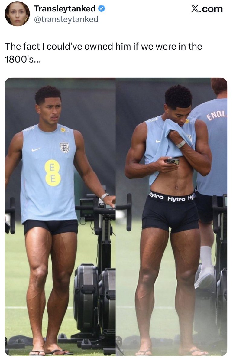troy tweet media