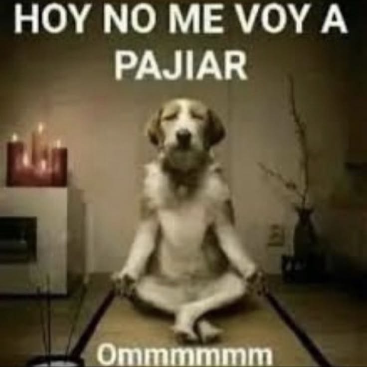 wikipistacho's tweet photo. https://t.co/mchzRX72c2