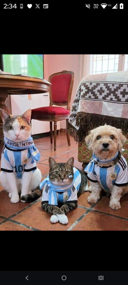 Luisgranate3's tweet photo. Que nervios, ya estamos listos para alentar! 😂🤣😂🤗🤗 https://t.co/CjgDiT4RmZ