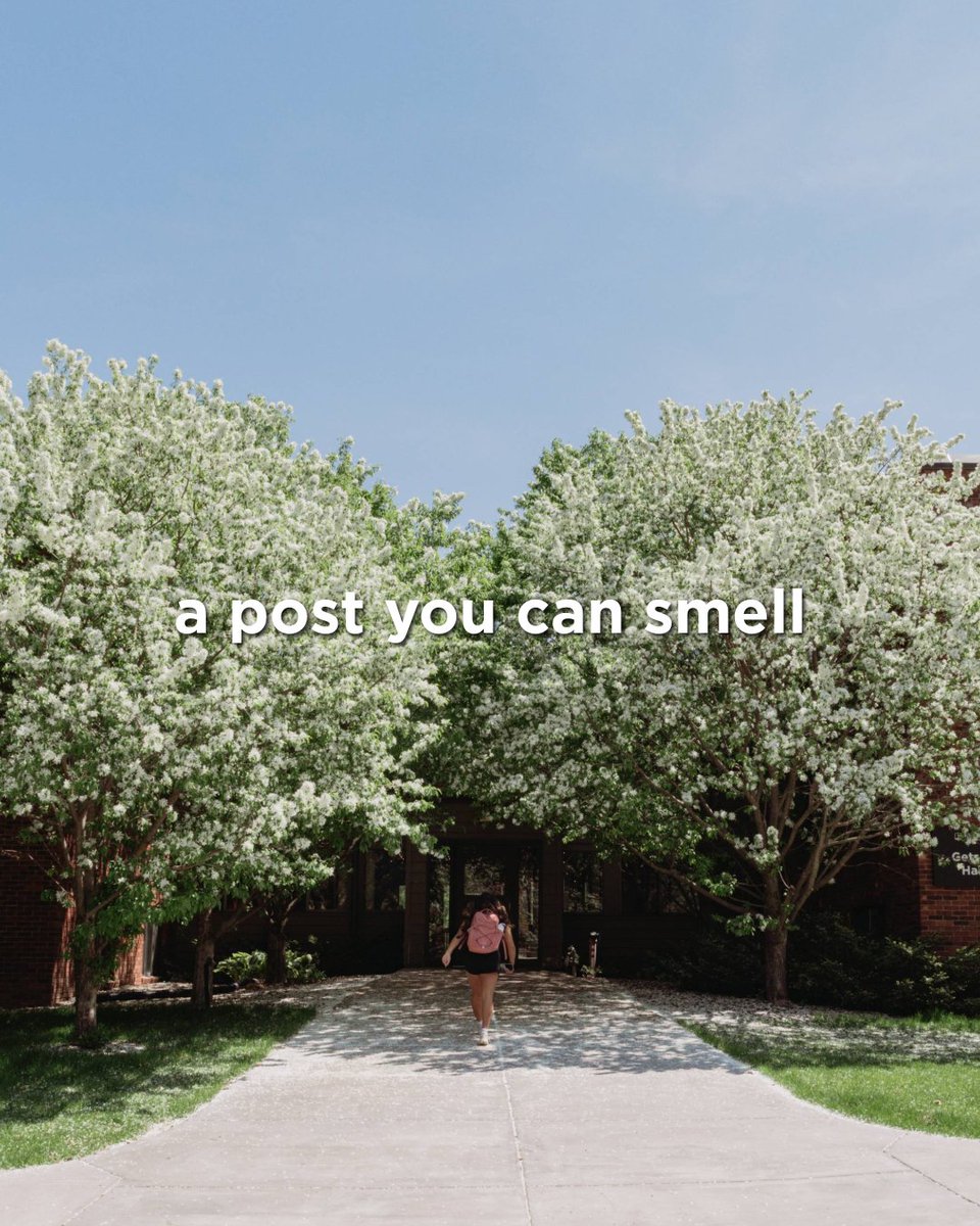 BethelU's tweet photo. A post for all five senses. The Bethel sounds, sights, and little moments you can almost feel through the screen 🌿☀️ https://t.co/EXfUZUUuJR