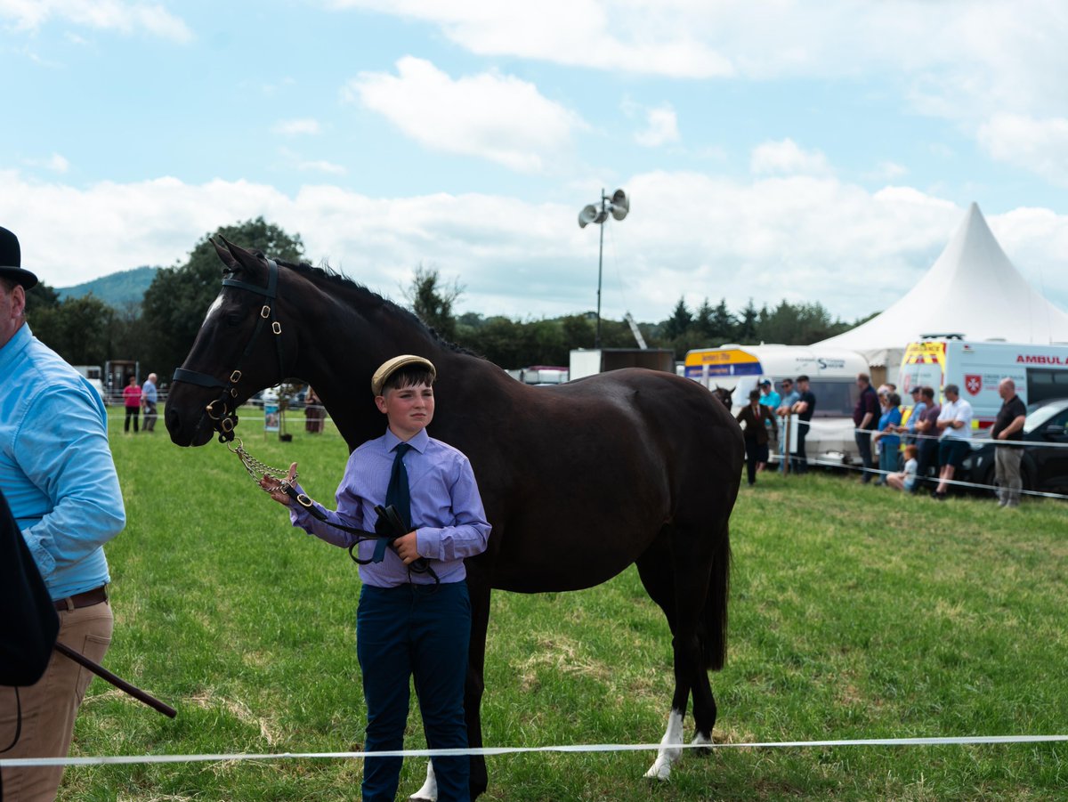 DeptRCDG's tweet photo. 🌾 Show season is here!

The Department is supporting 126 agricultural shows across Ireland with over €1 million in funding, helping volunteers deliver these much-loved community events.

These photos are from the Adamstown Show in Co. Wexford.

https://t.co/rmqBVE052d https://t.co/GdUq1FzVOq