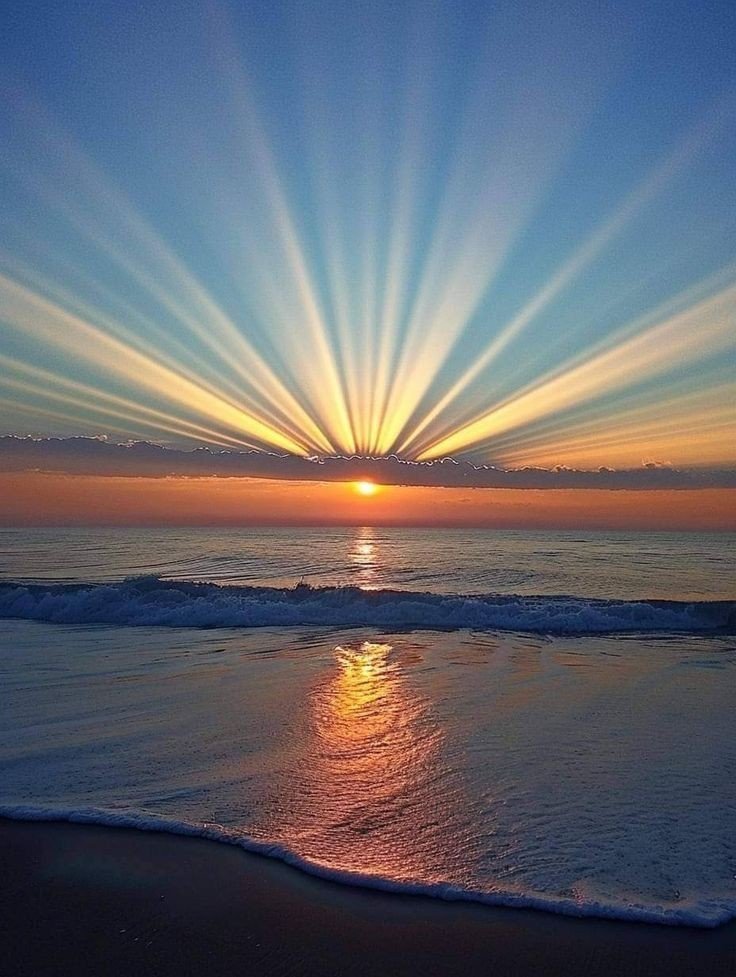 namaste_paz's tweet photo. Esto es precioso. https://t.co/LAZ3BDWWxj