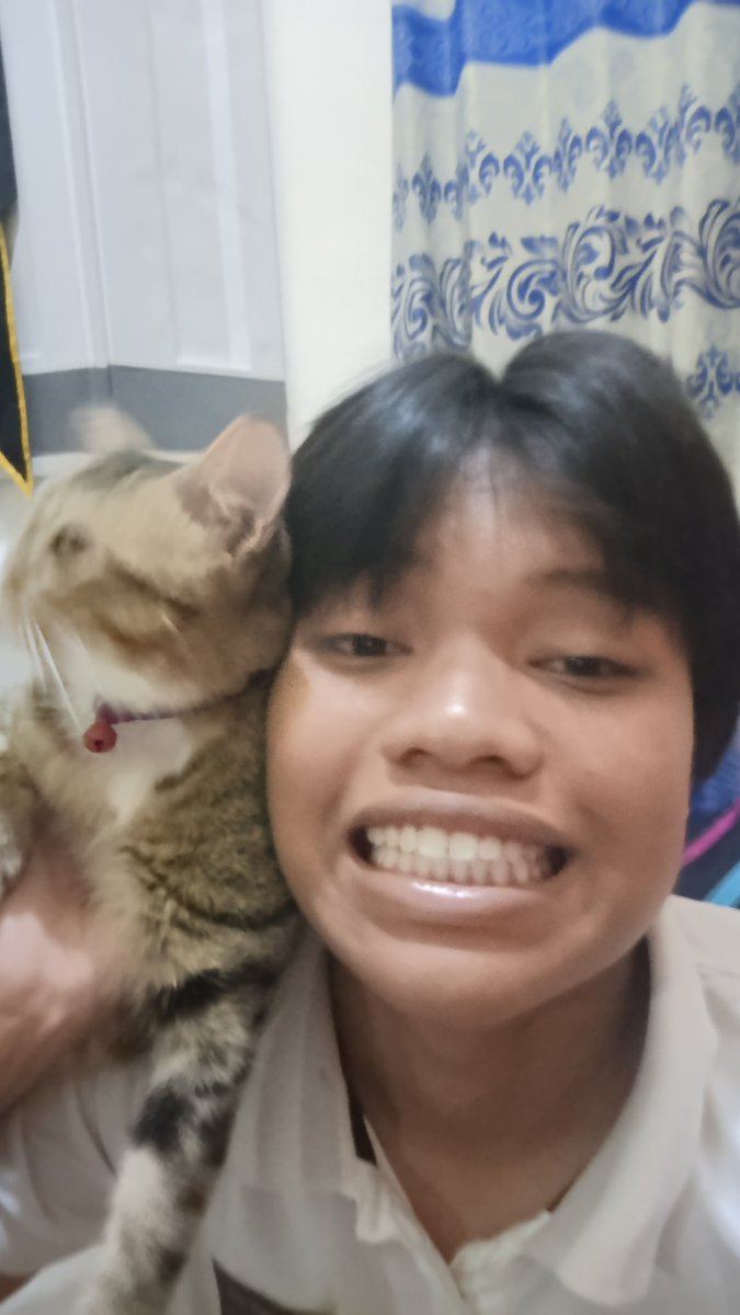 nastarhazelnat's tweet photo. my cat been missing more than 1 month, i don't know what i should do, i miss him so fckin bad rn 
he's my first ever cat to live in my house and my mom loved him too. i cry because of him rn 
he's a dumbass he left and never comeback after eid, where r u mako i really miss you https://t.co/WBS0mvtR49