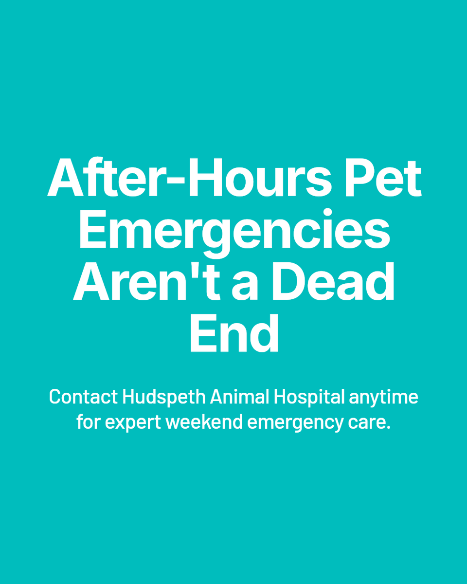 HudspethHosp's tweet photo. After hours in Middle Georgia? Don’t panic. Contact Hudspeth Animal Hospital’s 24/7 weekend emergency service, monitor symptoms, and have medical info ready.

https://t.co/U6JL2gaoPZ https://t.co/L2zl2YnUPd