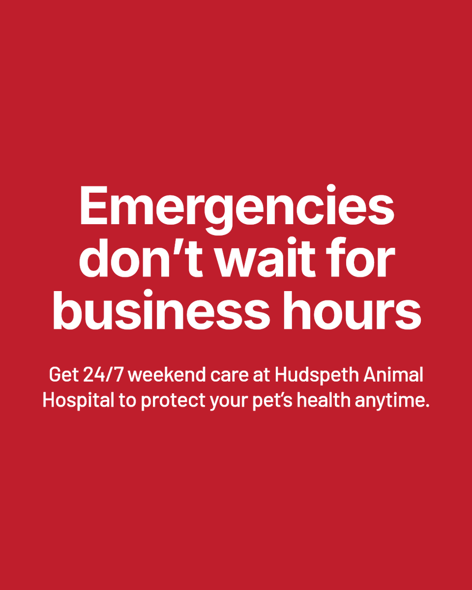 HudspethHosp's tweet photo. Weekend emergencies don’t wait for business hours. When symptoms start after hours, having a vet available on weekends can save your pet’s life and ease your worries. Trust Hudspeth Animal Hospital for 24/7 weekend emergency care. https://t.co/oTcIq98EgP