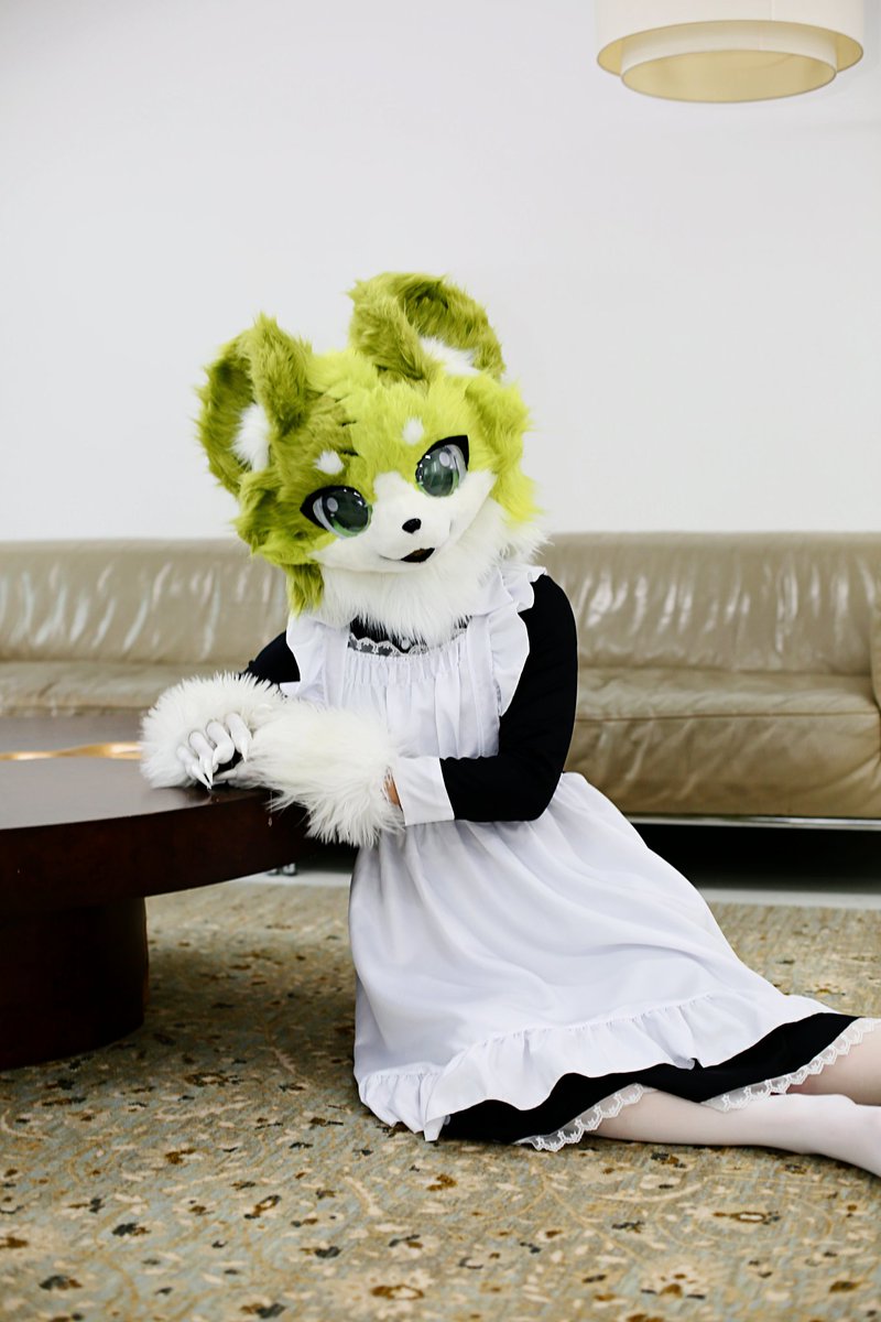 yaruzzang's tweet photo. 야루 오늘 사진찍고왔어♡

#FursuitsEveryday https://t.co/Ya3qu7pZ4E