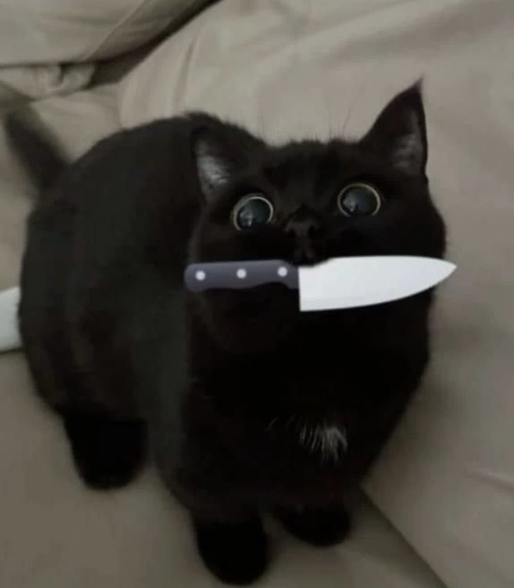 impulse as cats tweet media