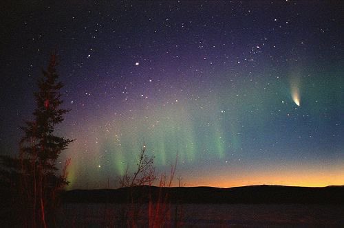 naturehealyou's tweet photo. https://t.co/W0ssv2v4ut