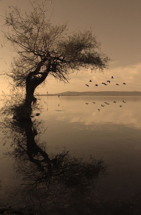 Gitana1369877's tweet photo. "Much on earth is hidden from us, but to compensate for that we have been given a secret, mystic sense of our living bond with the other world."
— Fyodor Dostoevsky, The Brothers Karamazov https://t.co/emCYyDCuSf