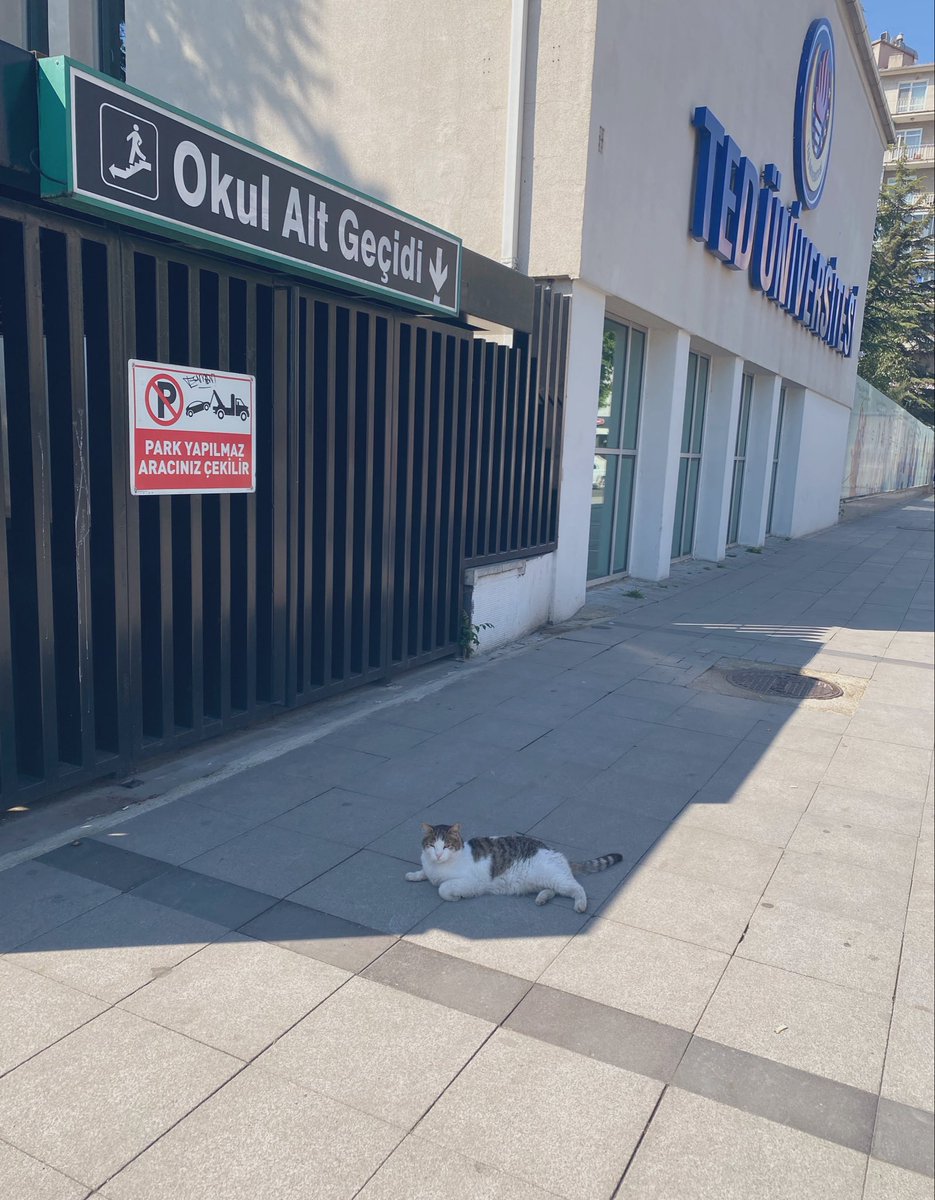 oharakivar's tweet photo. sokaklar öyle boş ki kızılayda şuan sadece kolej, teoman ve ben varız kfdkdk 
soldaki kolej, sağdaki teoman https://t.co/tmEhdN1bVM