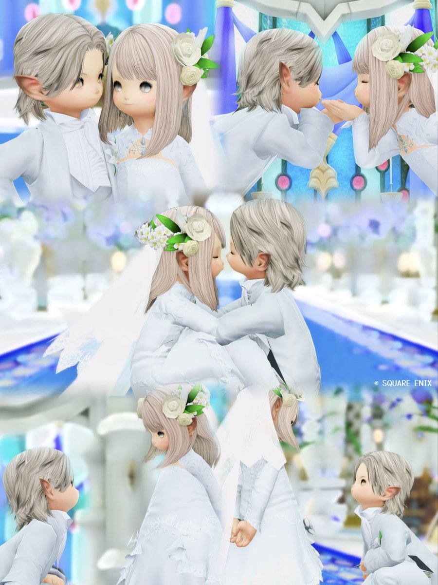 raaaan_game's tweet photo. メインとサブちゃん🤍🕊💍 https://t.co/S7iJWNpbzQ