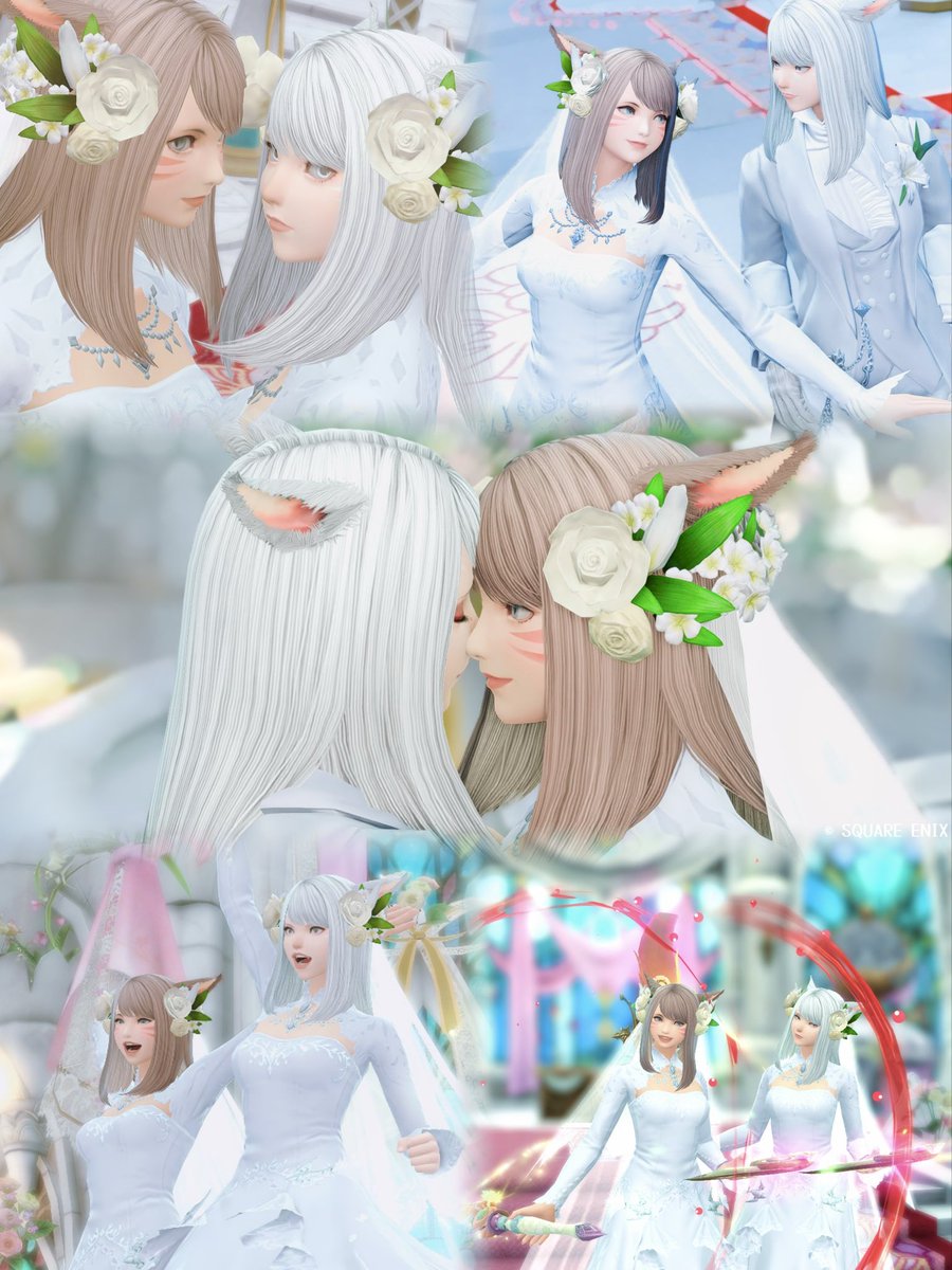 raaaan_game's tweet photo. メインとサブちゃん🤍🕊💍 https://t.co/S7iJWNpbzQ