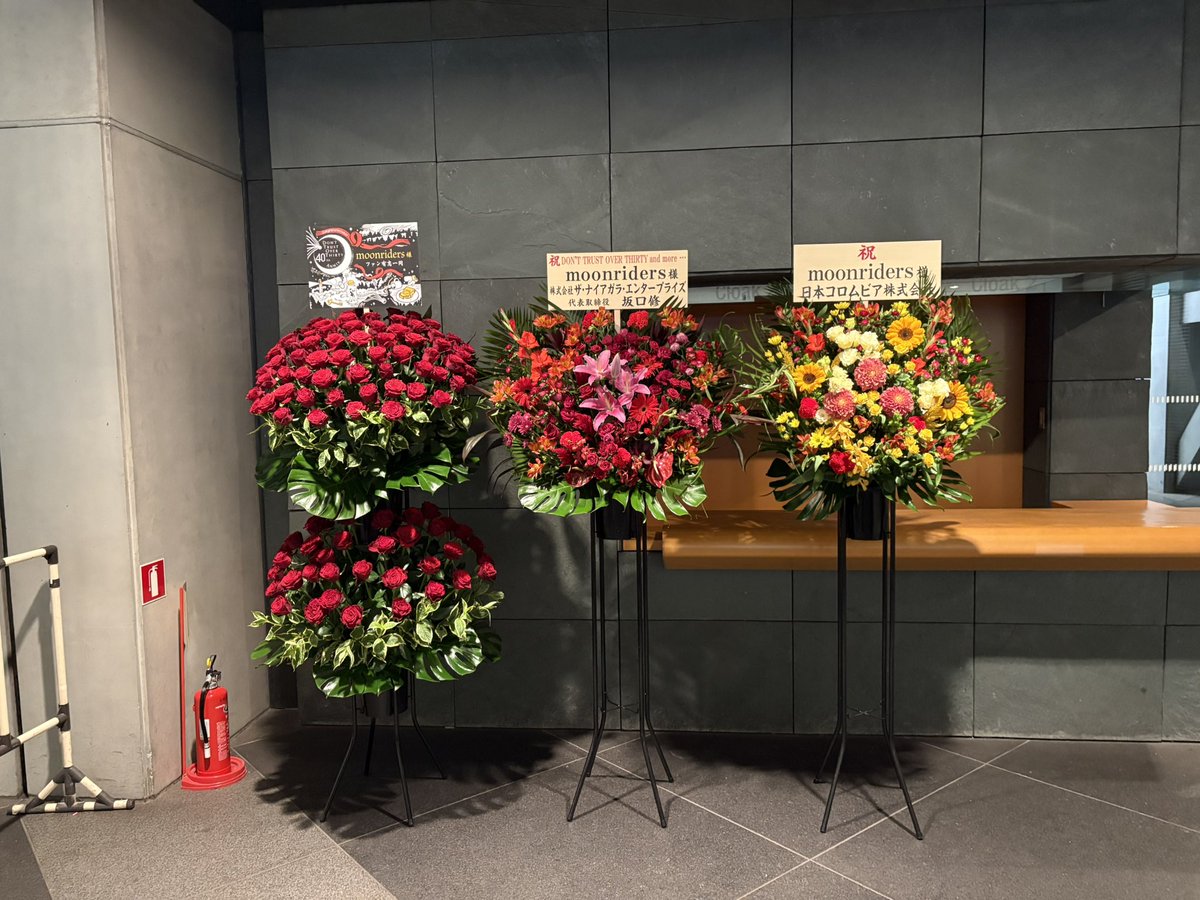 makimakichiyo's tweet photo. ムーンライダーズのドントラ再現ライブ。
40年前の不穏で不安定な、でも物凄い熱気を思い出した。クネクネマイク懐かしい
ライブ不向きと思える迷名曲達に、こうくるかー！と感激。良かった…
その後のセトリも、忘れてた曲達がブワッーと襲ってきて、まさに幸せの洪水😂
皆様お元気でうれしい❣️ https://t.co/qMVIsHSYJ9
