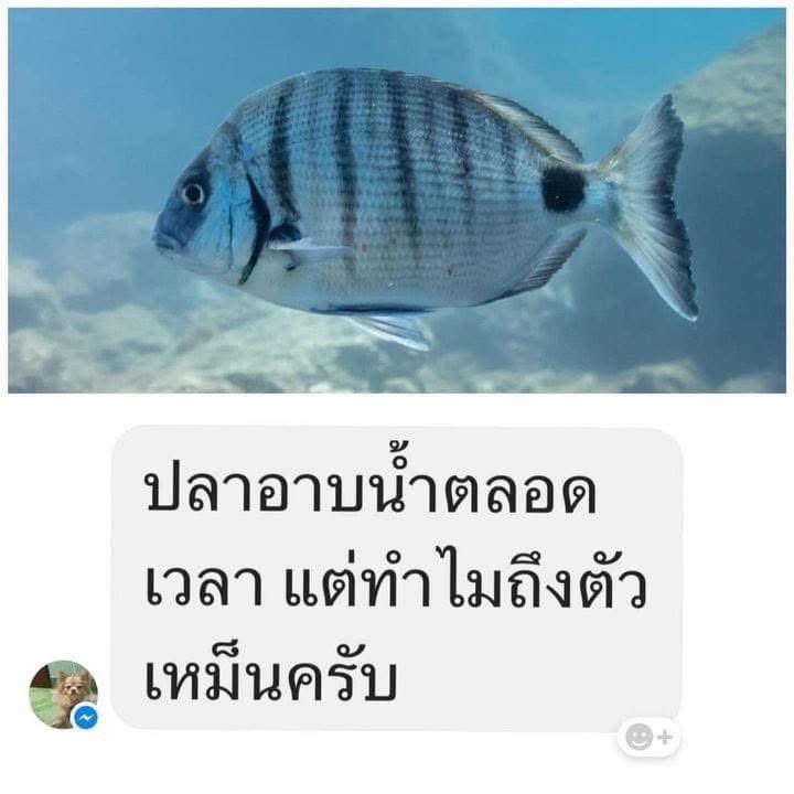 9ped_mood's tweet photo. ตอบไงดี???! 😬 https://t.co/tnRmyzF2dI