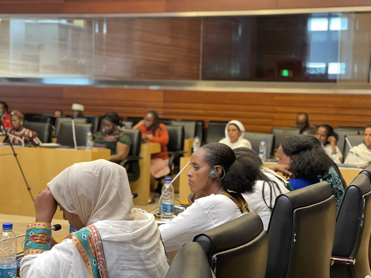 AUC_OSEWPS's tweet photo. The Regional Advocacy Engagement with the AU Special Envoy on Women, Peace and Security and the African Women Voices for Peace was concluded successfully. The meeting ended with the presentation of consolidated advocacy paper listing priority actions and way forward.

#AWVP #WPS https://t.co/DDZWOkBxf8