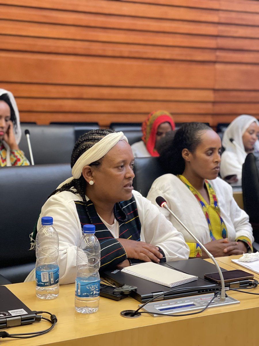 AUC_OSEWPS's tweet photo. The Regional Advocacy Engagement with the AU Special Envoy on Women, Peace and Security and the African Women Voices for Peace was concluded successfully. The meeting ended with the presentation of consolidated advocacy paper listing priority actions and way forward.

#AWVP #WPS https://t.co/DDZWOkBxf8