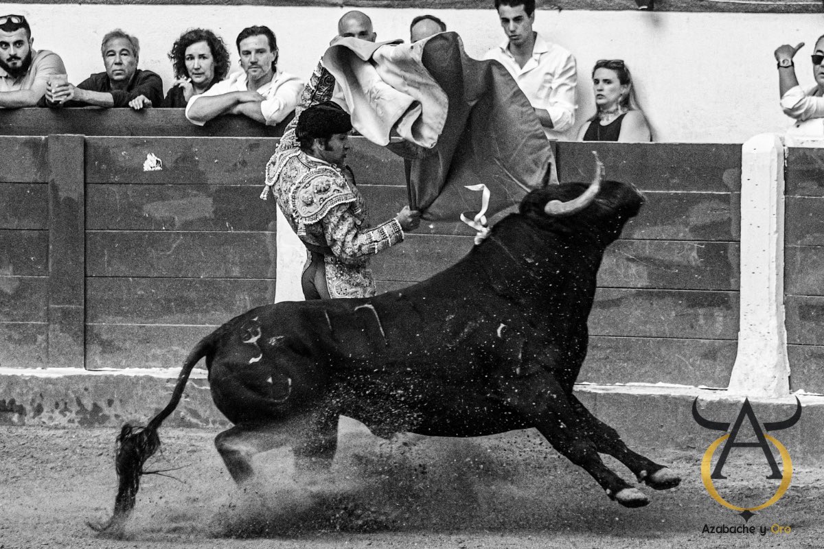Azabache_y_Oro's tweet photo. Saludo por Faroles de Morante de la Puebla en León. https://t.co/vp0gwpMjmk