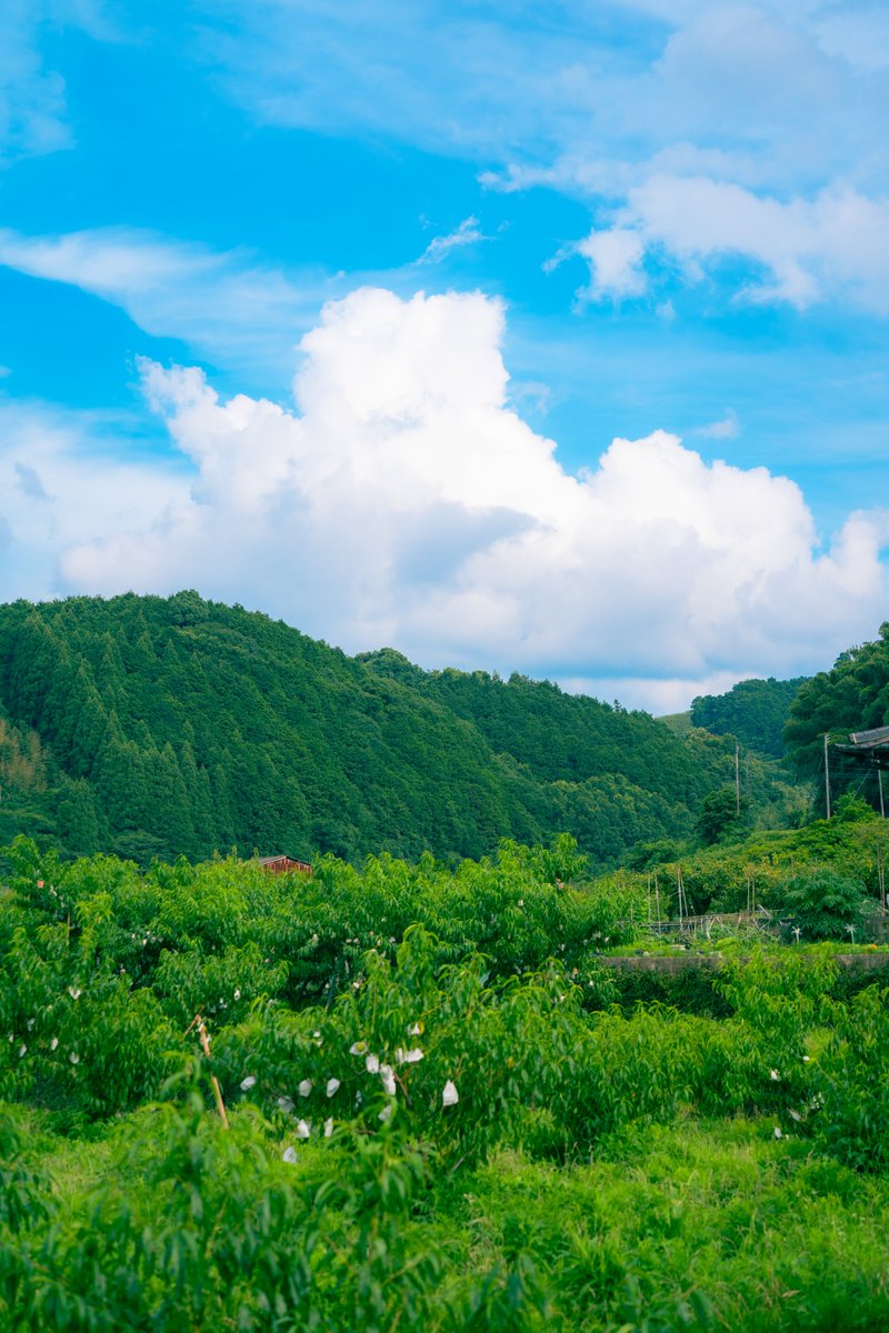 tsunekawa__'s tweet photo. 夏がきた。今年はどう過ごす？ https://t.co/vzololSgeC
