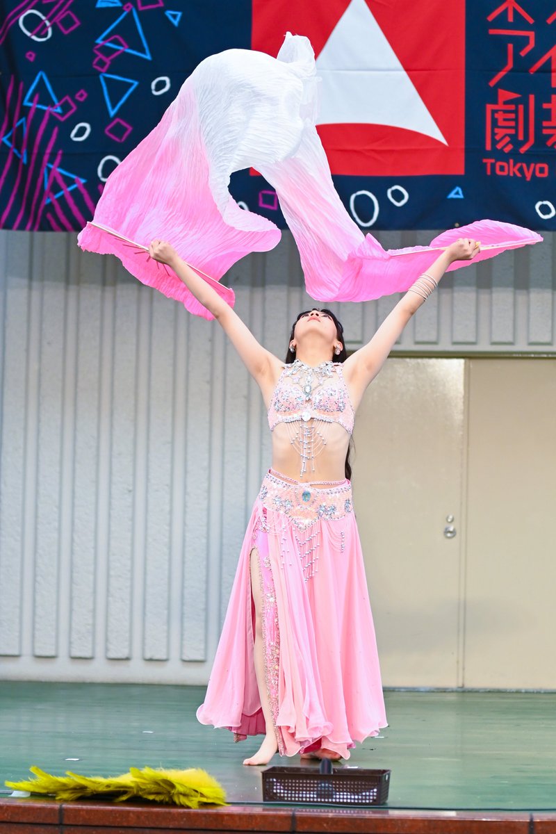 前回は #ベリーダンス というものがよく分からなくてけっこう寄りで