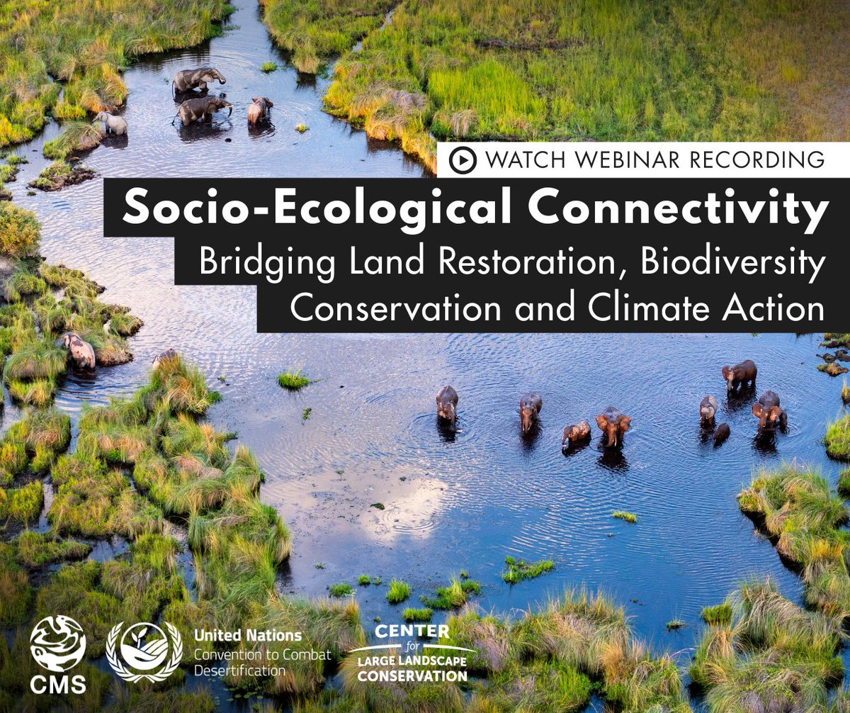 Convention on Migratory Species (CMS) tweet media