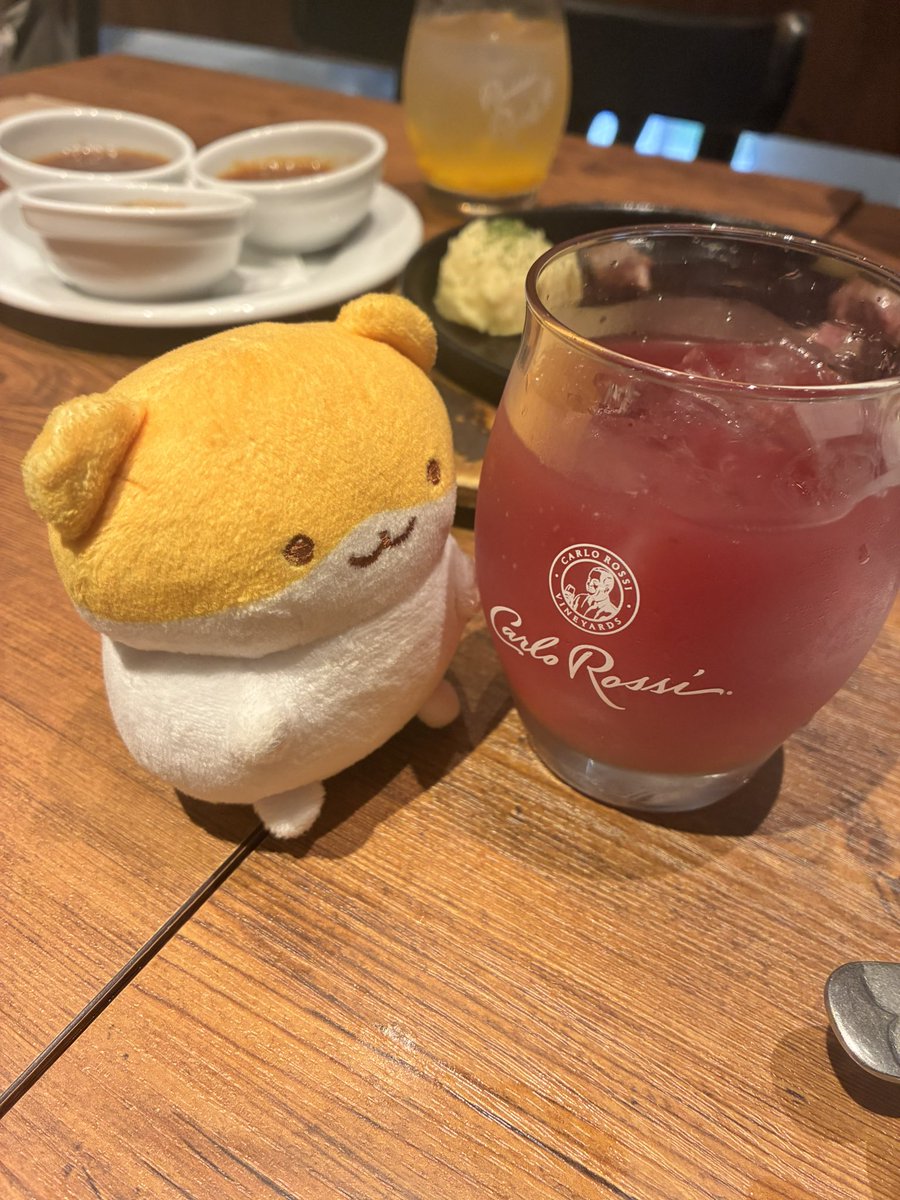 almwof's tweet photo. まだ飲めないね〜
 #すやはむ https://t.co/S8mLte1w60