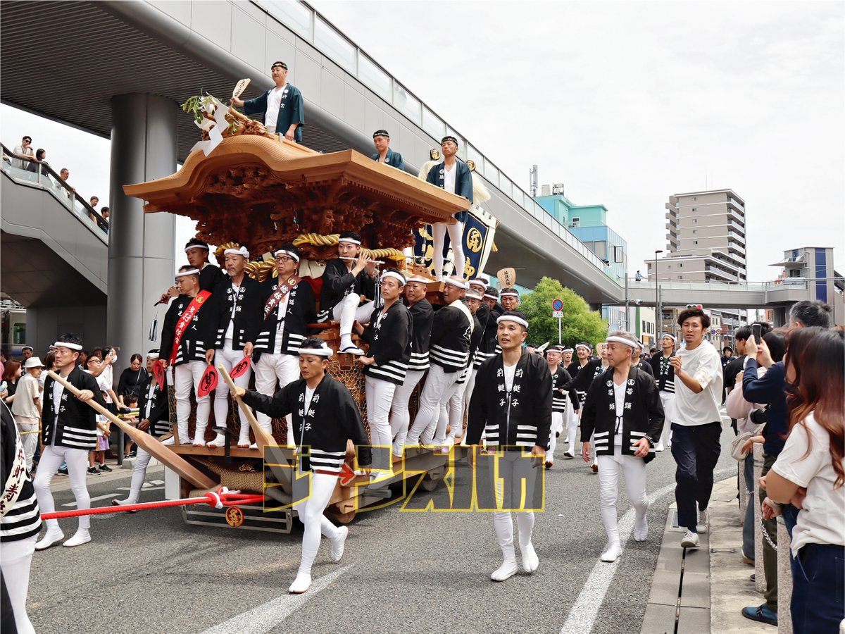 jeansbaka's tweet photo. ２０２６年（令和８年）５月３１日（日）                 
和泉市制７０周年だんじり記念曳行       
南松尾地区久井町　②周目 https://t.co/RcsGmZ7GRV