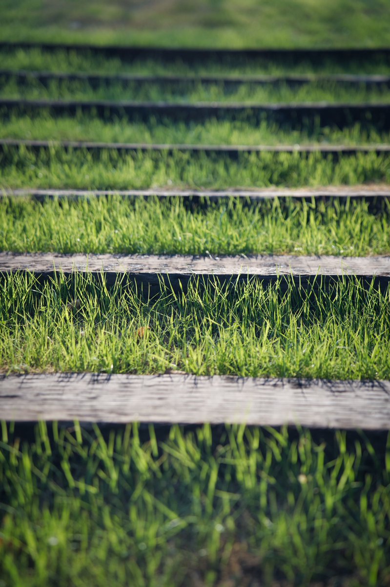 CapricornFM's tweet photo. #DareToAnswer | Here's today's brain teaser, What is the tallest and thickest type of grass?

Share your answer with @DjComplexion via WhatsApp: 079 899 6226 on the #CapricornDrive. https://t.co/MBPiJmnHCo